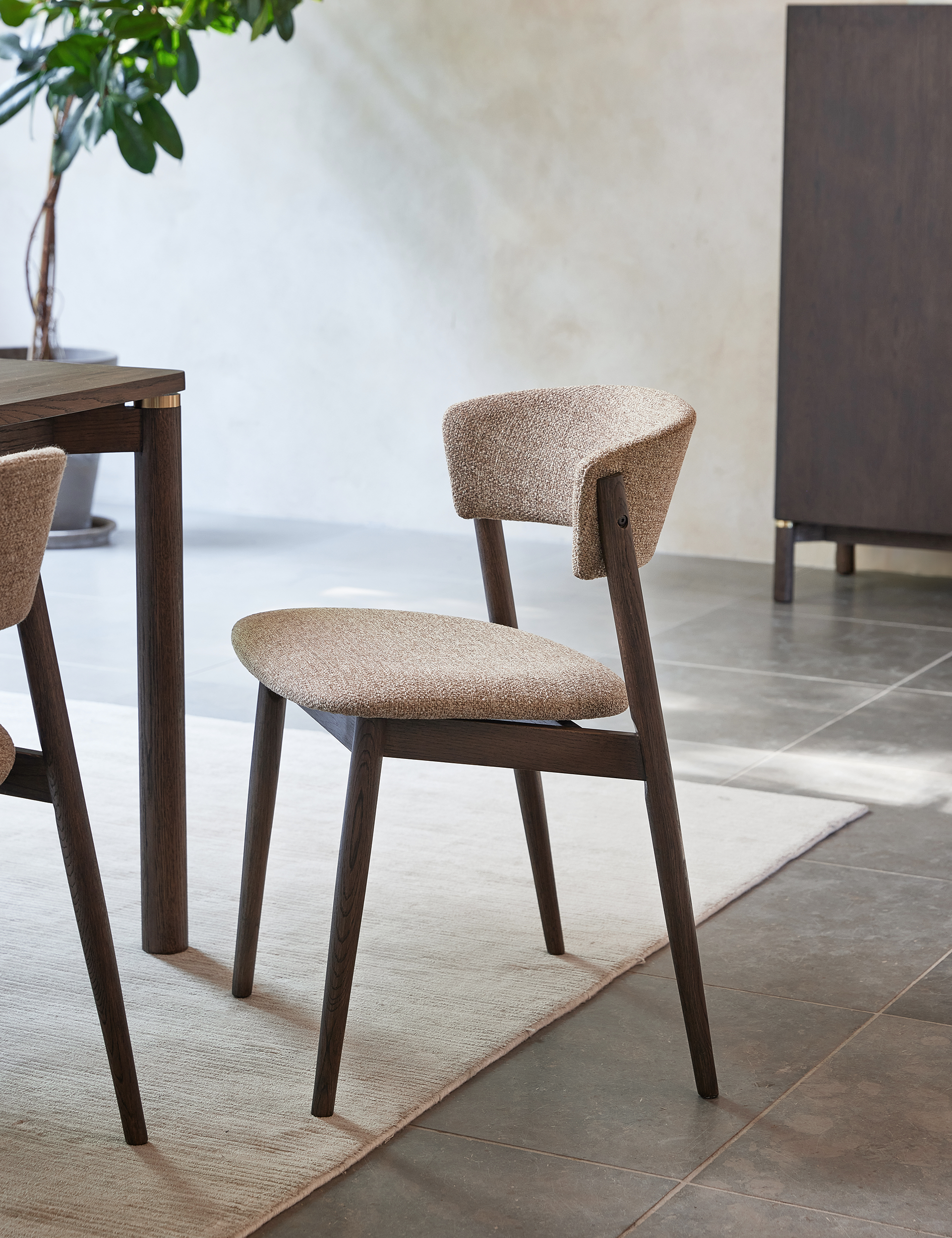Image of Dining Chairs