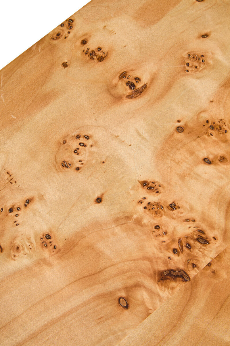 Image of Natural Burl Wood Curved Coffee Table with Smooth Curved Edges, Mota