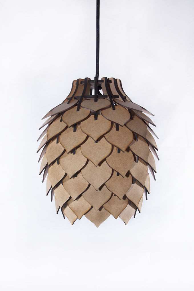 Image of Protea Lights