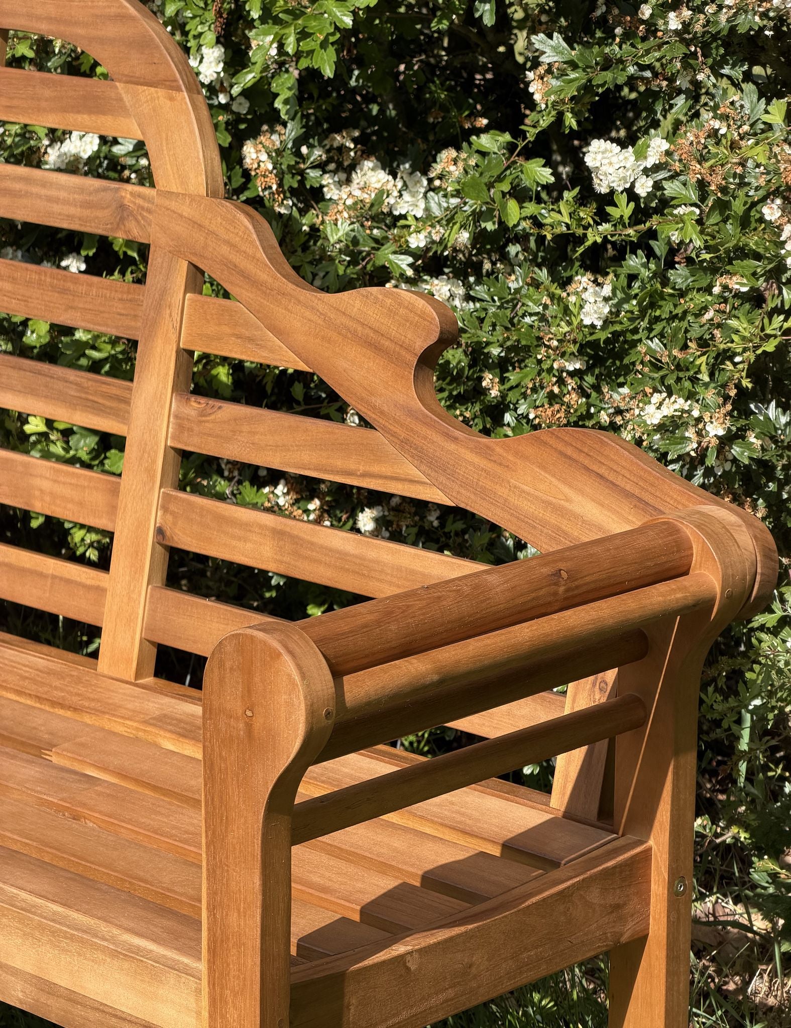 Image of Wooden bench in a garden setting with greenery and flowers in the background