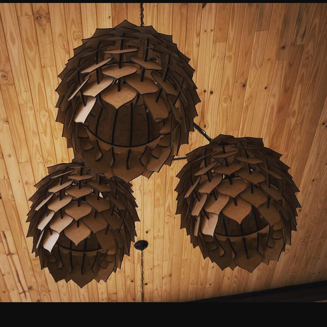Image of Protea Lights