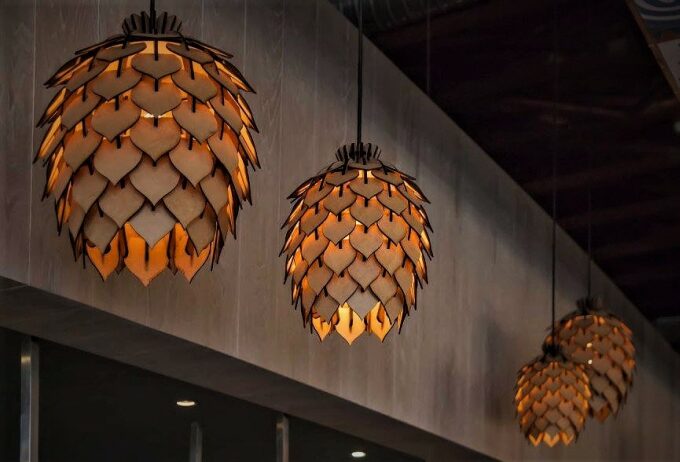 Image of Protea Lights