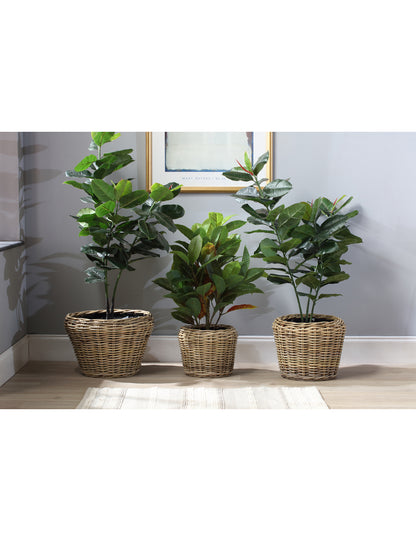 Set of 3 Lined Plant Baskets