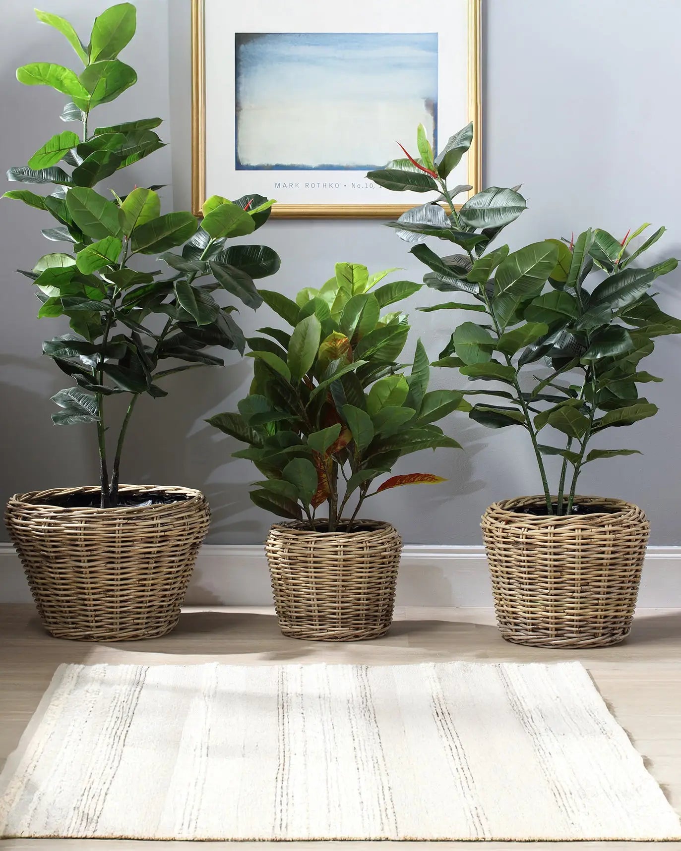 Set of 3 Lined Plant Baskets