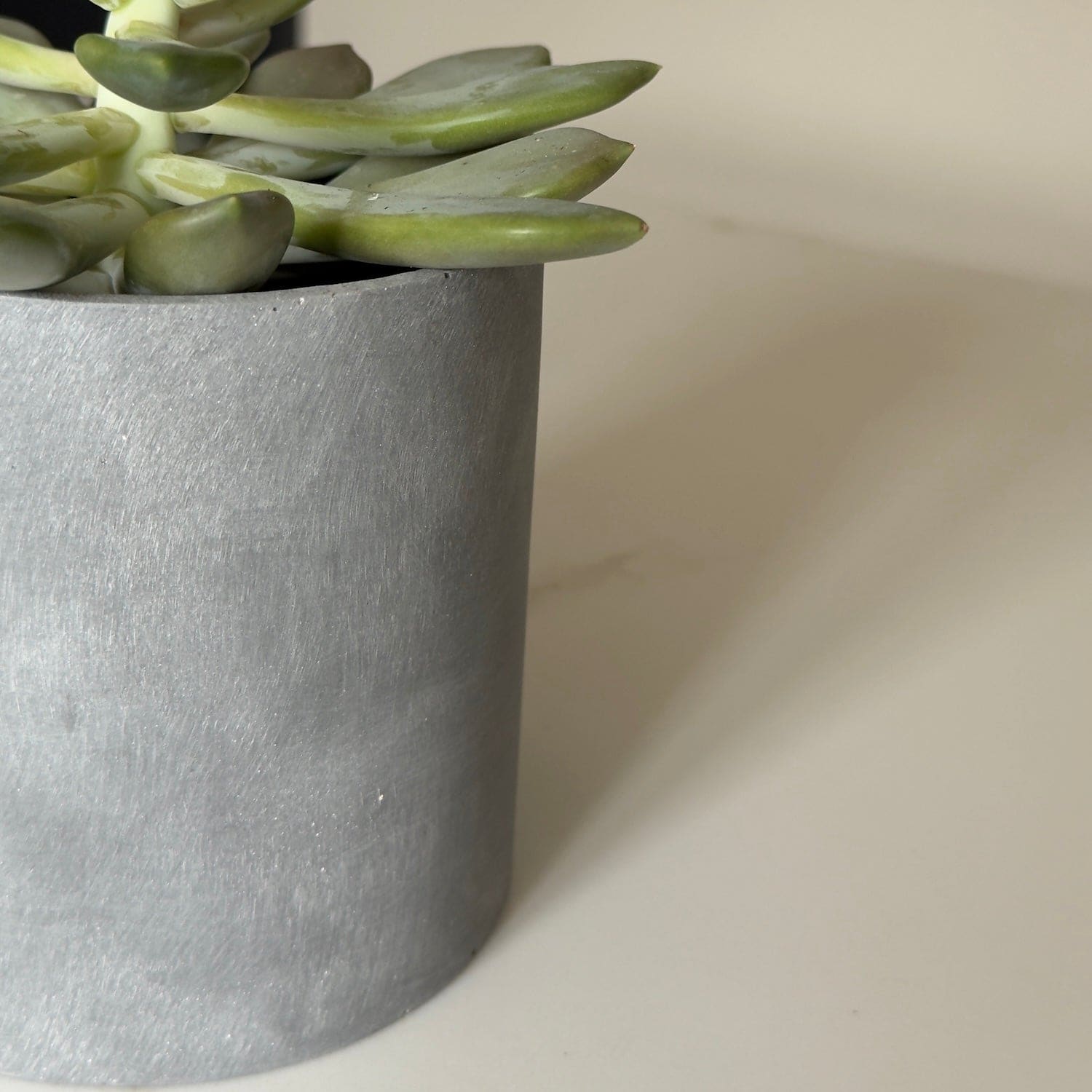 Image of Aurello | Brushed Grey Stone Resin Indoor Plant Pots (Set of 2)