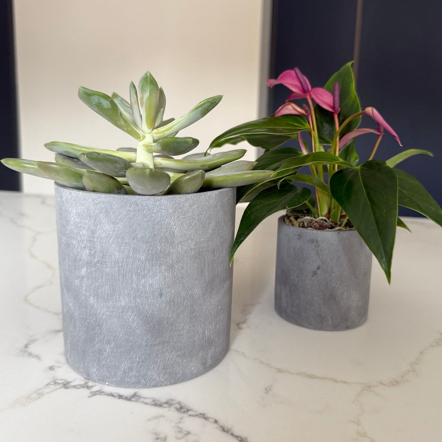 Image of Aurello | Brushed Grey Stone Resin Indoor Plant Pots (Set of 2)