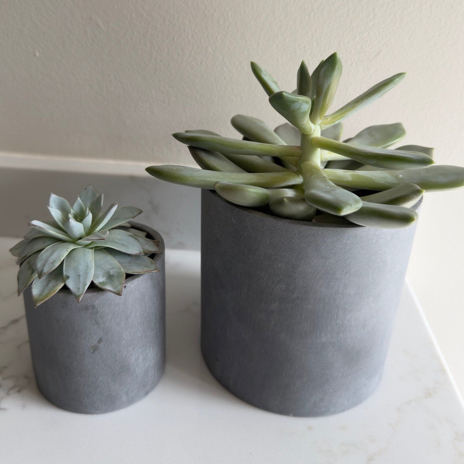 Image of Aurello | Brushed Grey Stone Resin Indoor Plant Pots (Set of 2)