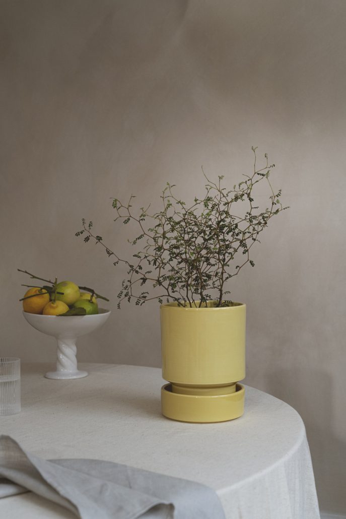 Image of Hoff Plant Pot Saucers