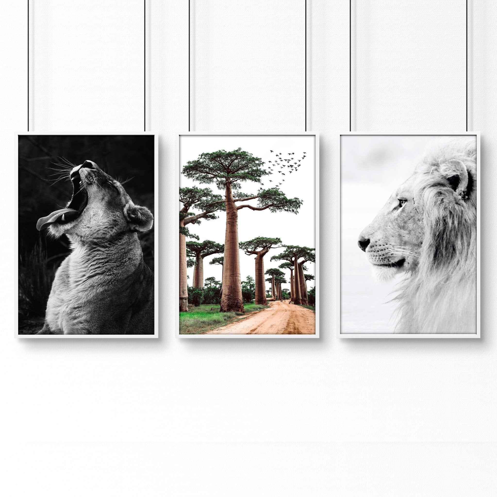 Image of Safari Bedrooms | Set of 3 African Wildlife Wall art Prints