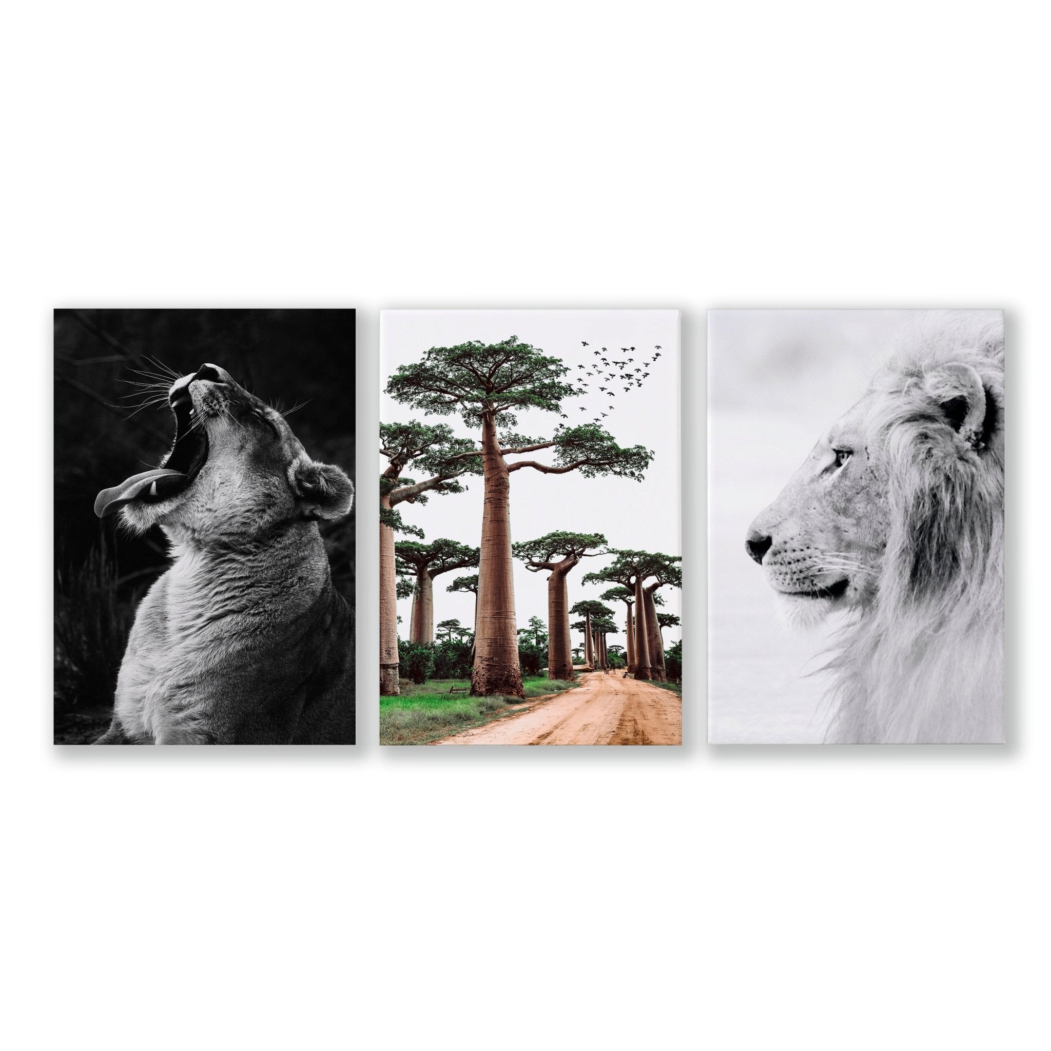 Image of Safari Bedrooms | Set of 3 African Wildlife Wall art Prints