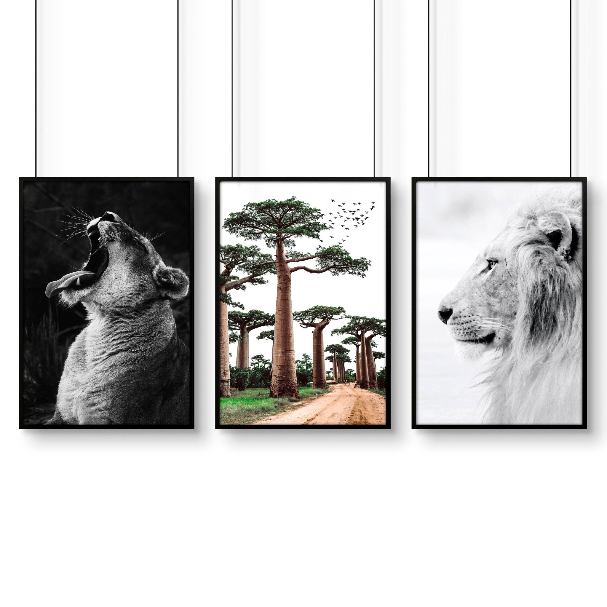 Image of Safari Bedrooms | Set of 3 African Wildlife Wall art Prints