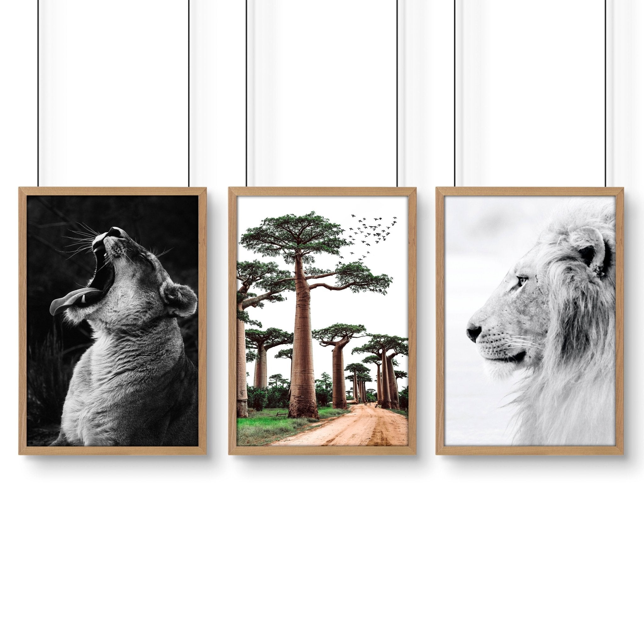 Image of Safari Bedrooms | Set of 3 African Wildlife Wall art Prints