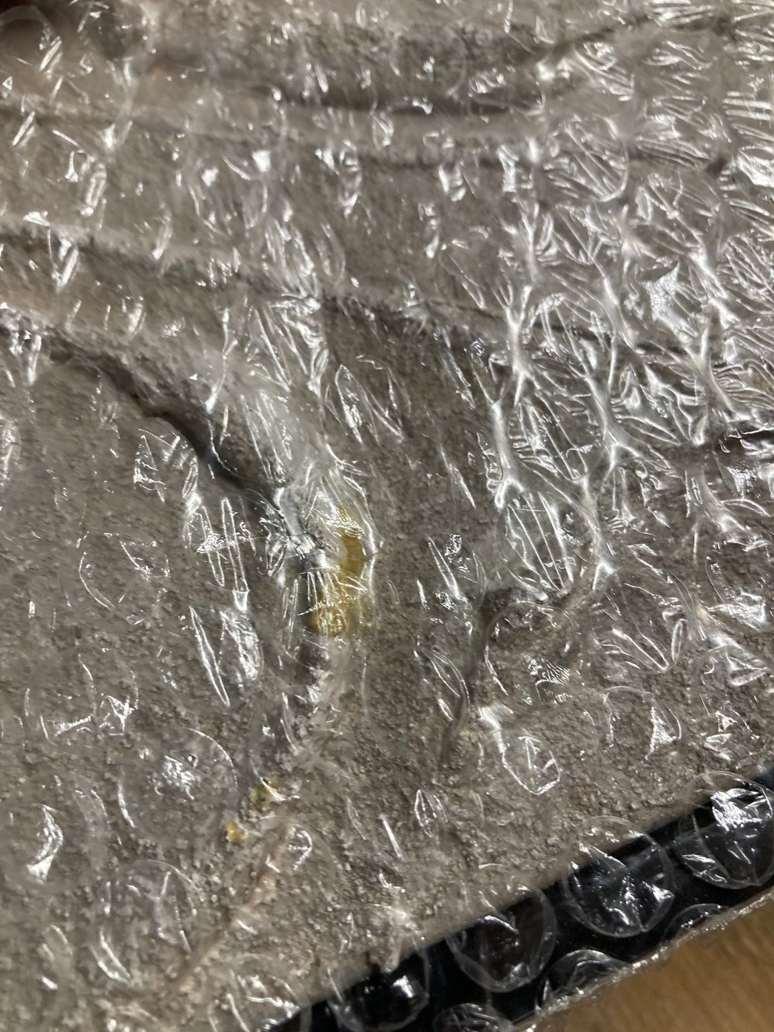 Image of Gilded II Artwork| OUTLET